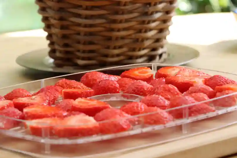 Fresh strawberry slices ready drying in a food dehydrator