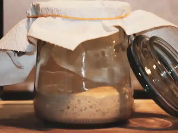 Active Starter with fermentation bubbles
