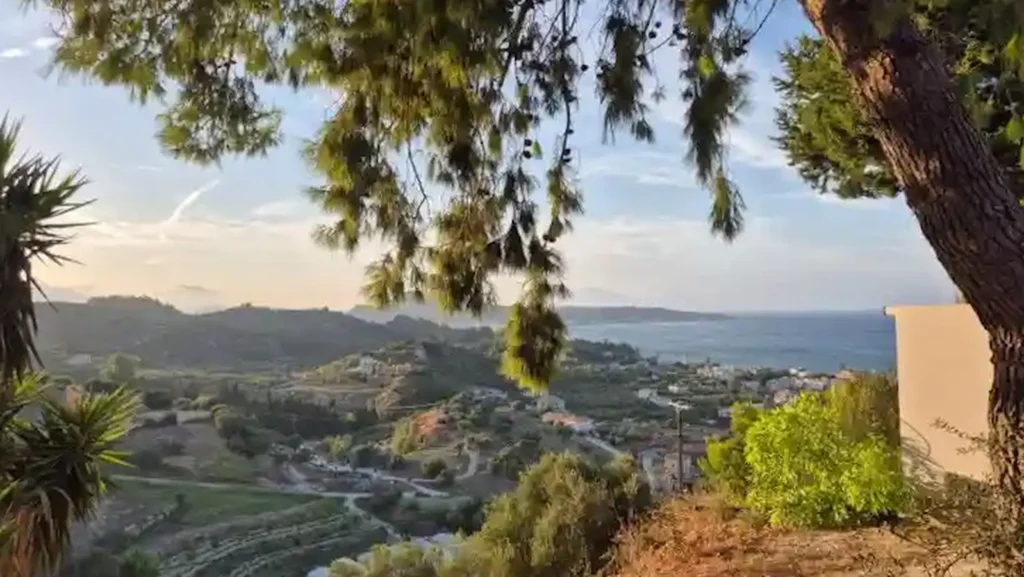 Een weids, panoramisch uitzicht over de groene heuvels en de blauwe zee van Zakynthos, gezien door de takken van een dennenboom in het warme avondlicht.