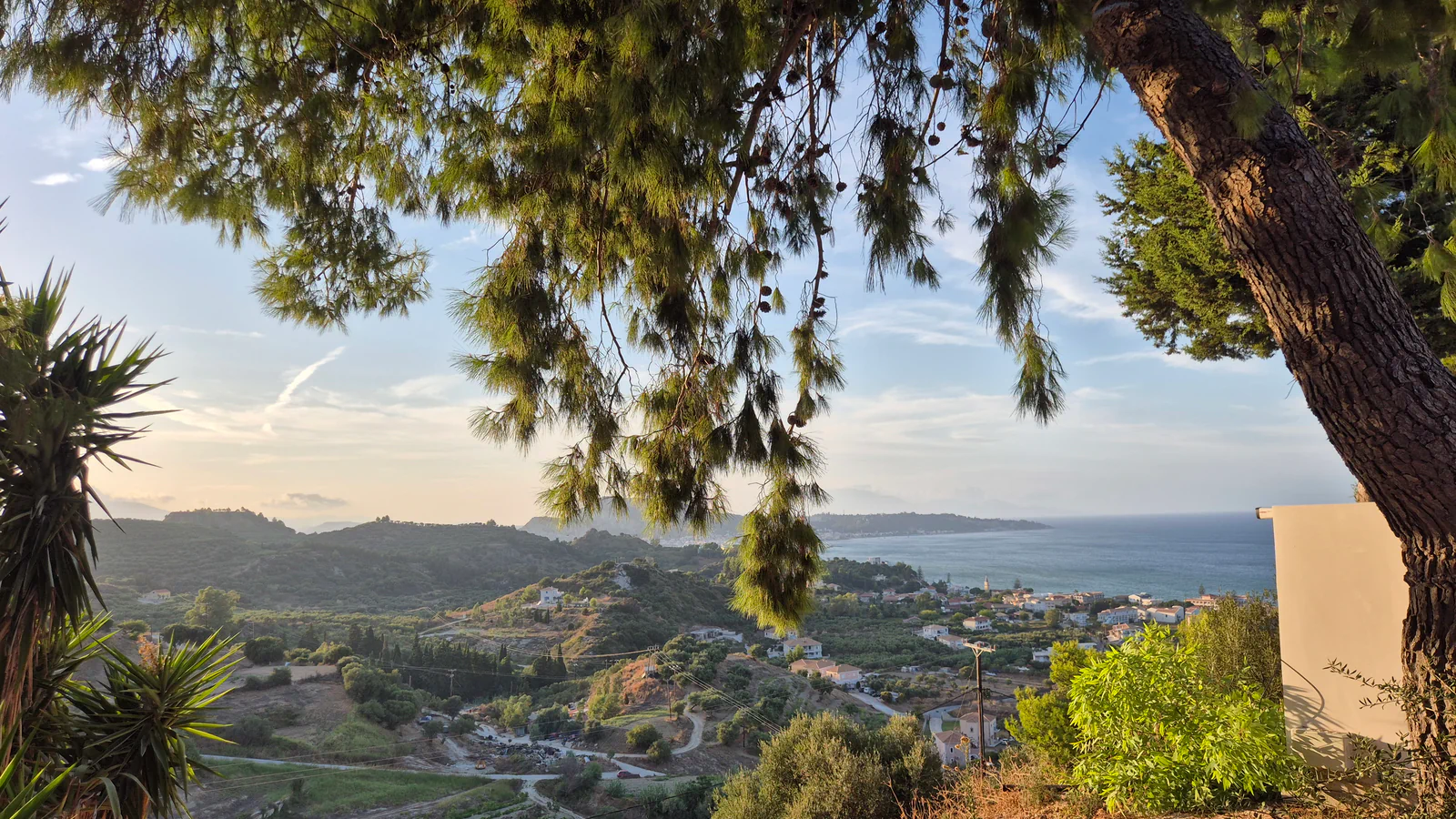 A wide, panoramic view over the green hills and blue sea of Zakynthos, framed by the branches of a pine tree in the warm evening light.